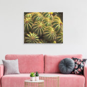 Baril Cactus - Impression de toile enveloppée (Insitu(Salon))