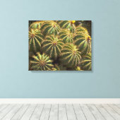 Baril Cactus - Impression de toile enveloppée (Insitu (Plancher de Bois))