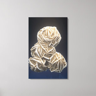 Baritskristallen met Gypsum, Norman, Oklahoma, Ver Canvas Afdruk