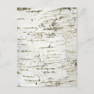 BARK BIRCH BRIEFKAART