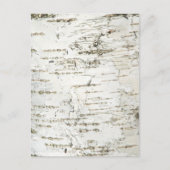 BARK BIRCH BRIEFKAART (Voorkant)