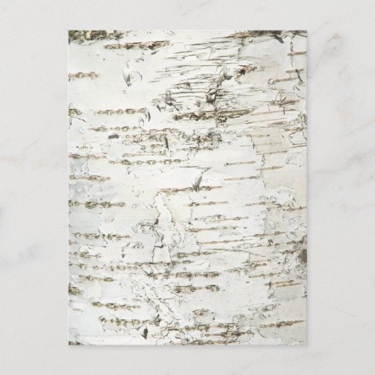 BARK BIRCH BRIEFKAART (Voorkant)