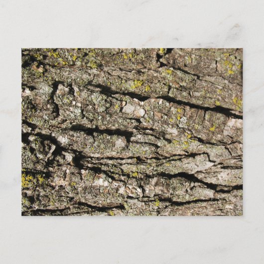 Bark Briefkaart (Voorkant)