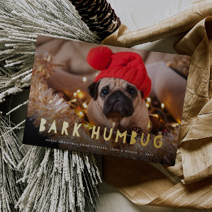 Bark Humbug   Foto Pet Folie Feestdagenkaart