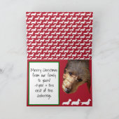 Bark the Harold Angels chanter la carte de Noël (Intérieur)