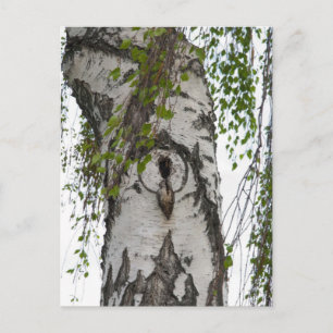 BARK TREE BRIEFKAART
