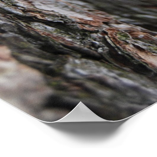 Bark van de boom poster (Hoek)