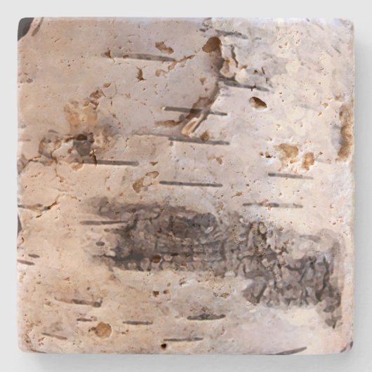 Bark van de witte vogelboom stenen onderzetter (Voorkant)