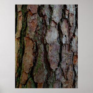 Bark van een Georgia Pine Poster