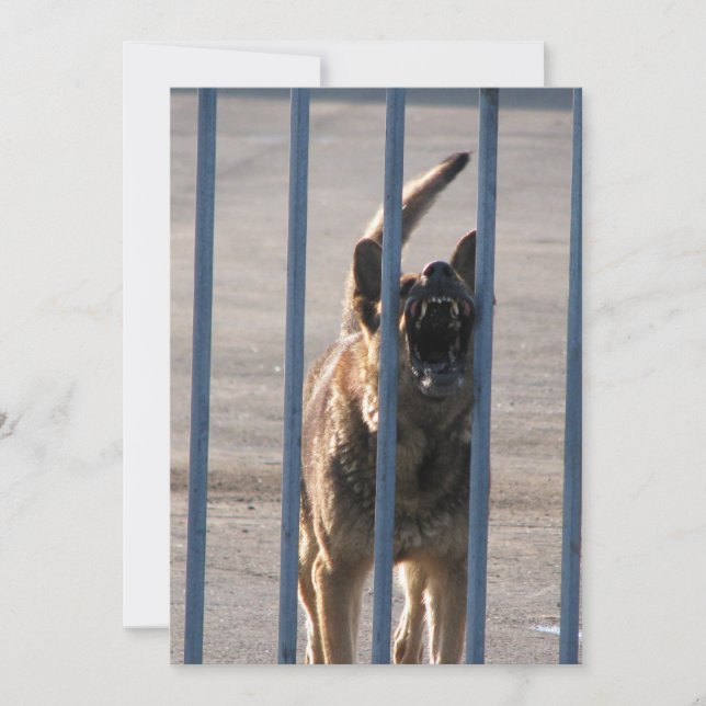 Barkeerhond (Voorkant)