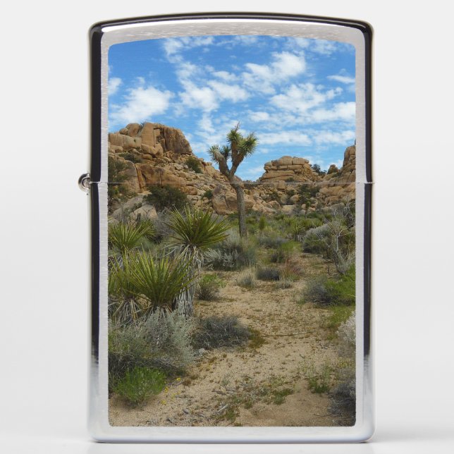 Barker Dam Loop Trail bij Joshua Tree National Par (Voorkant)