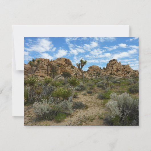 Barker Dam Loop Trail bij Joshua Tree National Par (Voorkant)