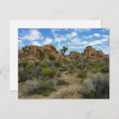 Barker Dam Loop Trail bij Joshua Tree National Par (Voorkant / Achterkant)