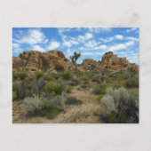 Barker Dam Loop Trail bij Joshua Tree National Par Briefkaart (Voorkant)