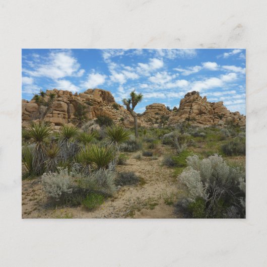 Barker Dam Loop Trail bij Joshua Tree National Par Briefkaart (Voorkant)