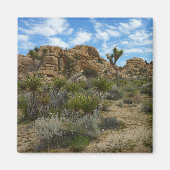 Barker Dam Loop Trail bij Joshua Tree National Par Magneet (Voorkant)