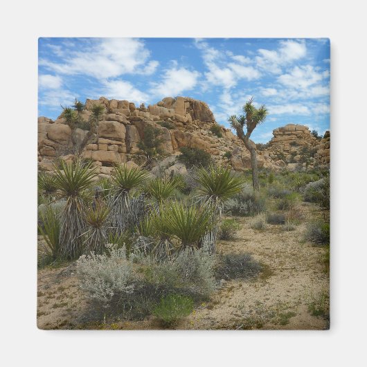 Barker Dam Loop Trail bij Joshua Tree National Par Magneet (Voorkant)