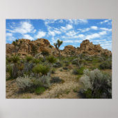 Barker Dam Loop Trail bij Joshua Tree National Par Poster (Voorkant)