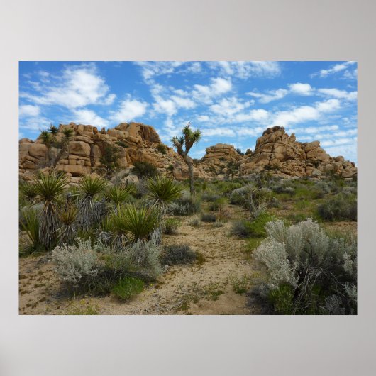 Barker Dam Loop Trail bij Joshua Tree National Par Poster (Voorkant)