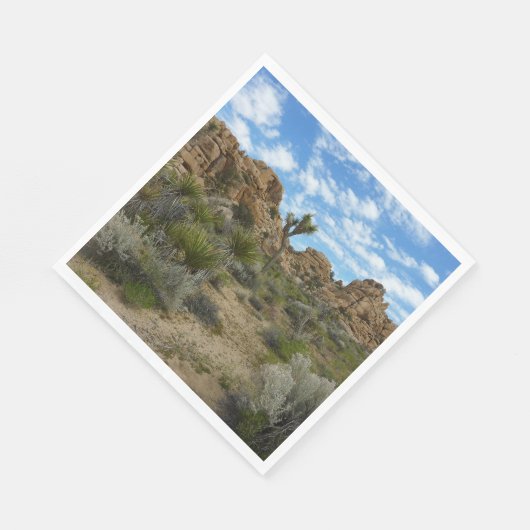 Barker Dam Loop Trail bij Joshua Tree National Par Servet (Hoek)