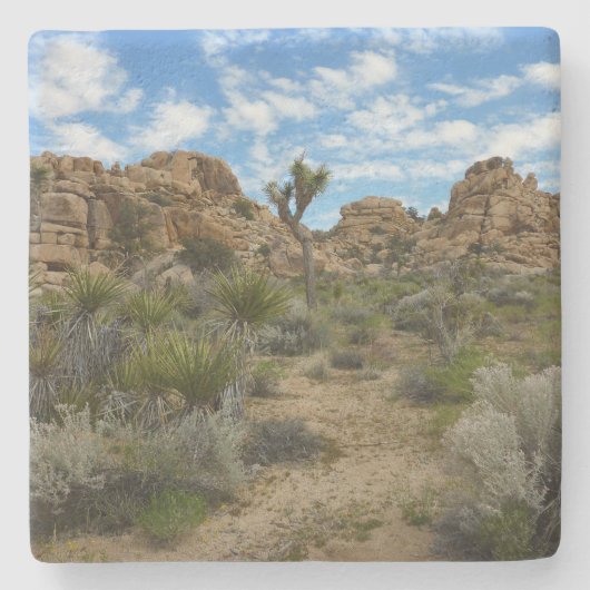 Barker Dam Loop Trail bij Joshua Tree National Par Stenen Onderzetter (Voorkant)