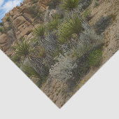 Barker Dam Loop Trail bij Joshua Tree National Par Tissuepapier (Detail)