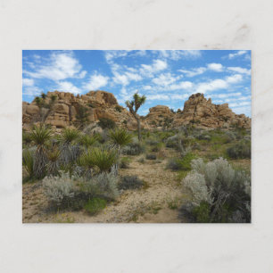 Barker Dam Loop Trail in het Joshua Tree National  Briefkaart
