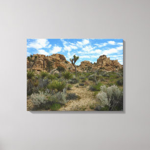 Barker Dam Loop Trail in het Joshua Tree National Canvas Afdruk