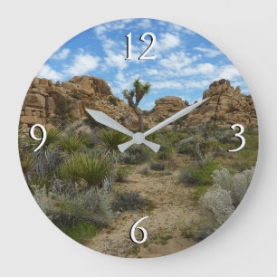 Barker Dam Loop Trail in het Joshua Tree National Grote Klok