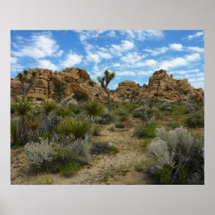 Barker Dam Loop Trail in het Joshua Tree National Poster