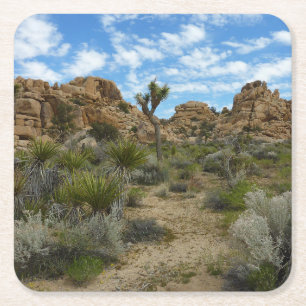 Barker Dam Loop Trail in het Joshua Tree National Vierkante Kartonnen Onderzetter
