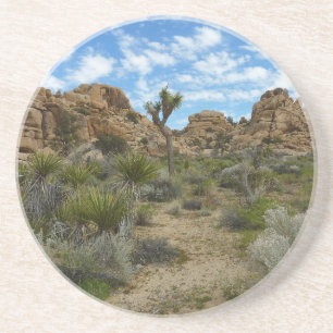 Barker Dam Loop Trail in het Joshua Tree National Zandsteen Onderzetter