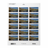 Barker Dam reflectie bij Joshua Tree I Etiket (Full Sheet)