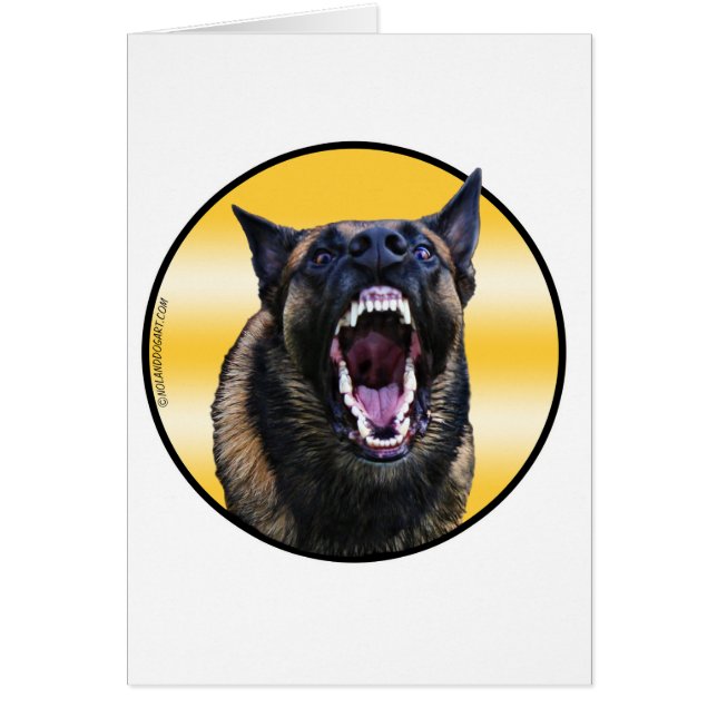 Barking Belgium Malinois "Maligator" (Voorkant)