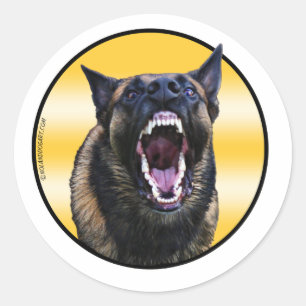 Barking Belgium Malinois "Maligator" Ronde Sticker