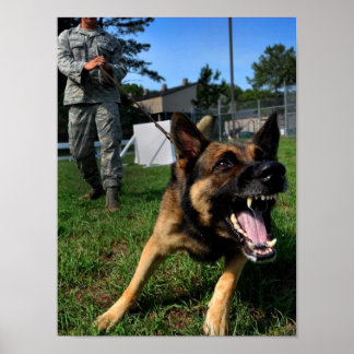 Barking German Shepherd Poster