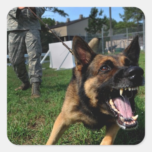 Barking German Shepherd Vierkante Sticker (Voorkant)