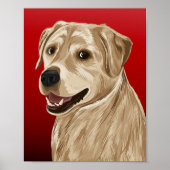 Barkley Poster (Voorkant)