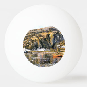 BARMOUTH WALES PINGPONGBALLEN