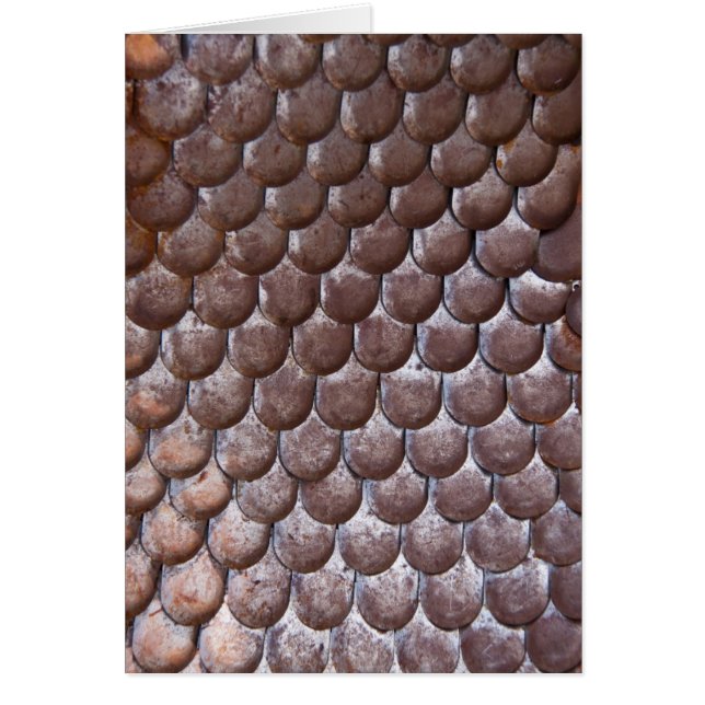 Barmure ancienne (Devant)