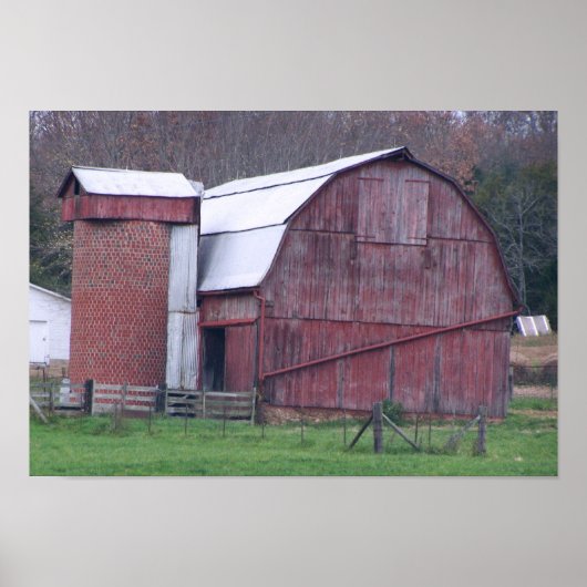 Barn5 Poster (Voorkant)