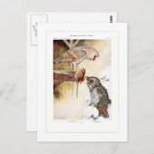 Barn and Long-ooreOwls Briefkaart (Voorkant / Achterkant)