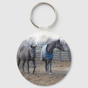 Barn Boerderij Horses Sleutelhanger