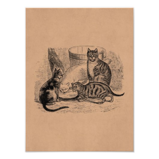 Barn Cats 1800s  de Sjabloon van de Illustratie v Foto Afdruk (Voorkant)