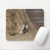 Barn Cats Muismat (Met muis)