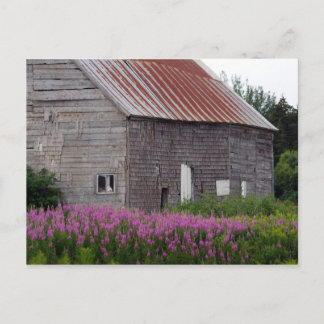 Barn en wilde bloemen briefkaart