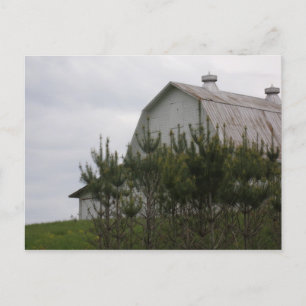 Barn Hiding Behind Pine Trees Briefkaart