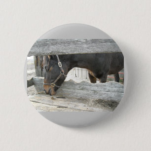 Barn Horse Humor Ronde Button 5,7 Cm