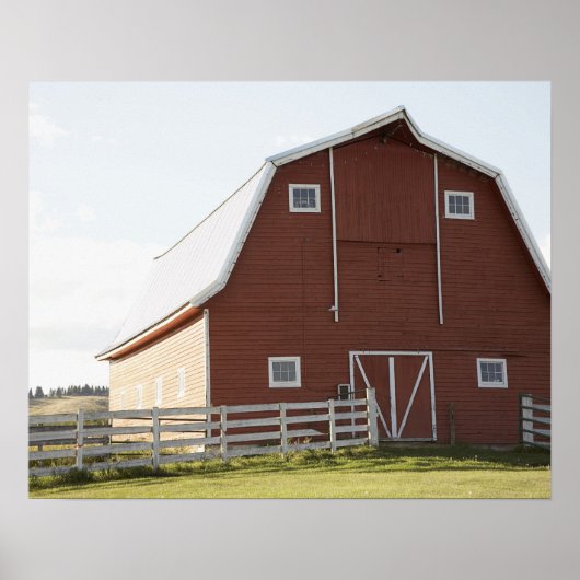 Barn in landschap poster (Voorkant)