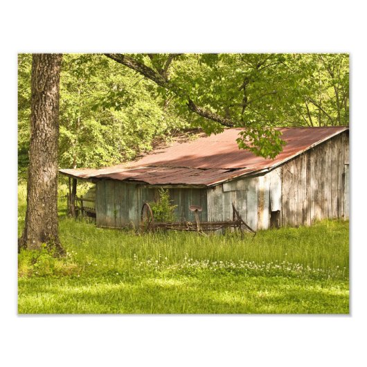 Barn in Spring Green Tennessee Fotografie Foto Afdruk (Voorkant)